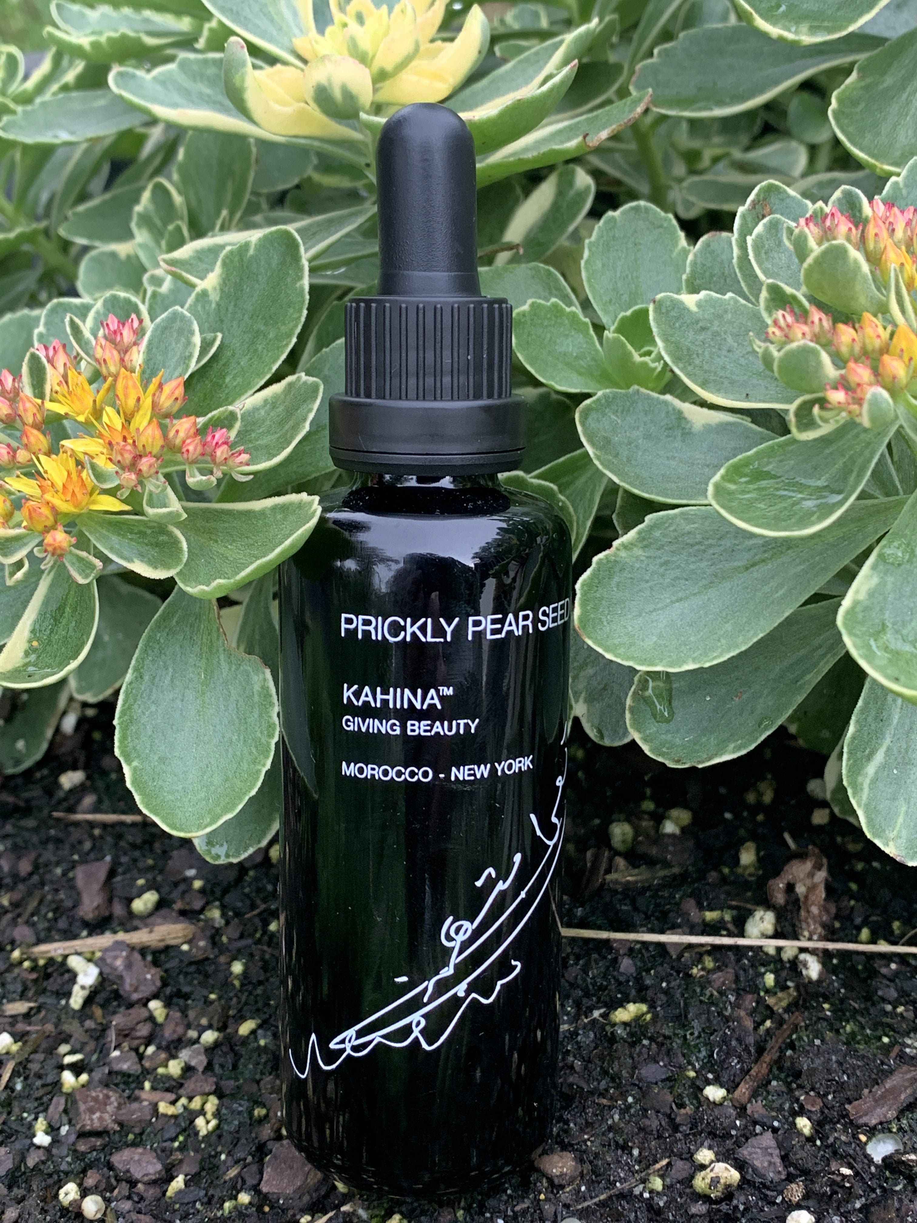 Our Prickly Pear Seed Oil Looks Better Than Ever – Kahina Giving