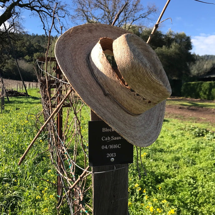 Try our new moisture mask and provide needed healthcare for immigrant farmworkers in the napa valley